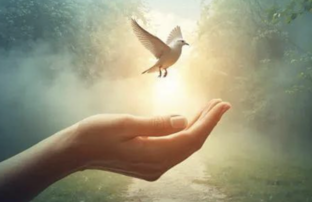 Hand releasing a small white bird into a sunlit, greenish forest background, suggesting peace and freedom.